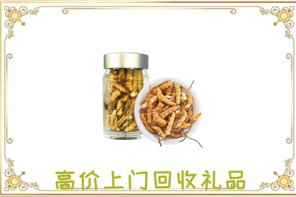 云州周边回收虫草